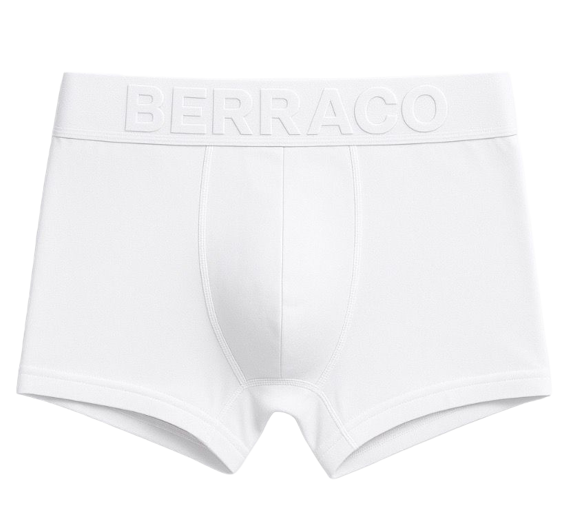 Boxer BERRACO